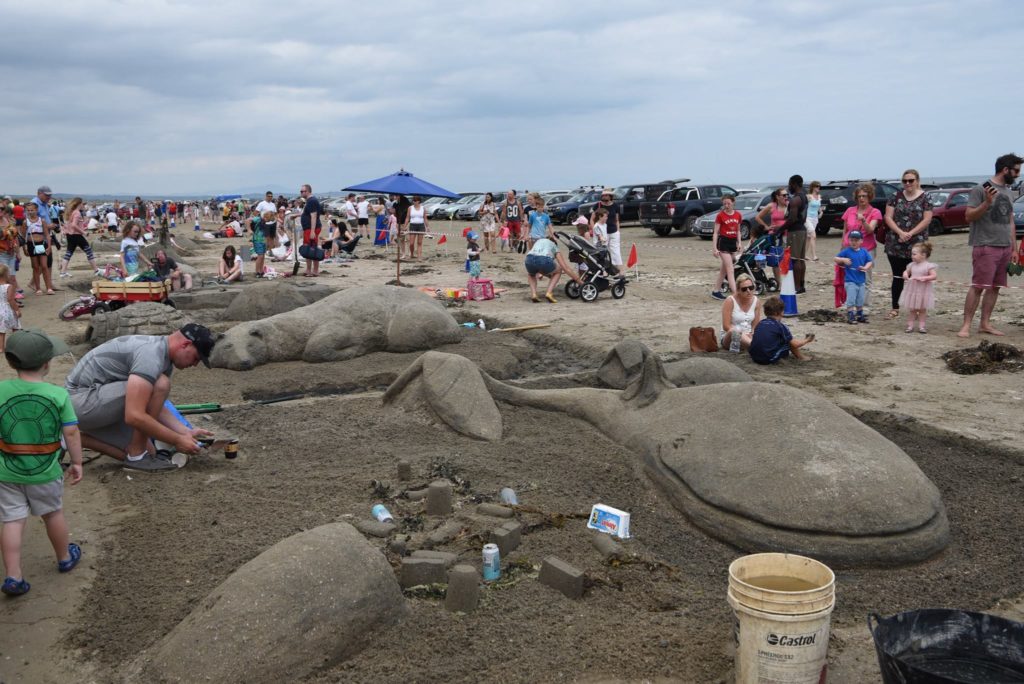 Sand Sculpture Dolphin